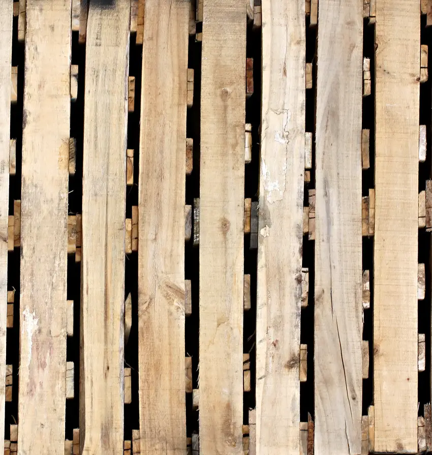 Palets Europeos de Madera vs. Palets Europeos de Plástico